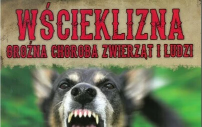 Zdjęcie artykułu z dnia 07-05-2026