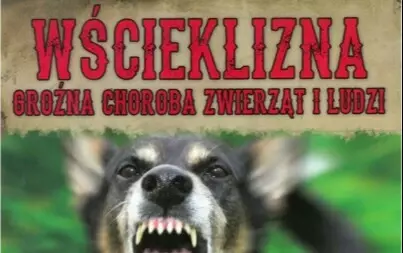 Zdjęcie artykułu z dnia 06-05-2025
